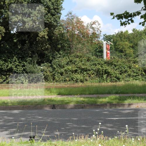 10.08.2025 - GEWOBA Citytriathlon Bremen Yannick Fuchs http://msf.ph/oto/8568210 10.08.2025 12:54:30 Radfahren 580, 582, 618, 634, 707, 740, 783, 789, 790, 826 meine-sportfotos.de