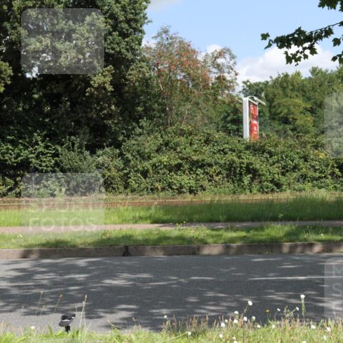 10.08.2025 - GEWOBA Citytriathlon Bremen Yannick Fuchs http://msf.ph/oto/8568673 10.08.2025 13:02:49 Radfahren 647, 661, 712, 911, 955, 1020 meine-sportfotos.de