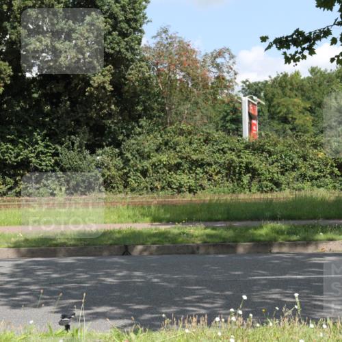 10.08.2025 - GEWOBA Citytriathlon Bremen Yannick Fuchs http://msf.ph/oto/8568774 10.08.2025 13:03:49 Radfahren 574, 676, 685, 753, 812, 823, 908, 925, 965, 1007 meine-sportfotos.de