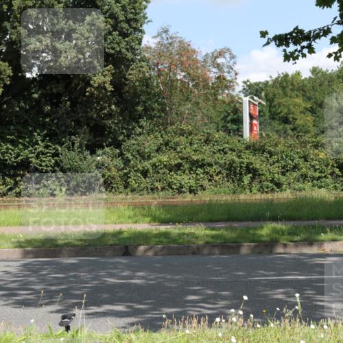 10.08.2025 - GEWOBA Citytriathlon Bremen Yannick Fuchs http://msf.ph/oto/8568819 10.08.2025 13:04:04 Radfahren 574, 576, 605, 625, 640, 676, 685, 697, 760, 769, 786, 908, 946, 963, 965, 1007, 1013, 1036 meine-sportfotos.de
