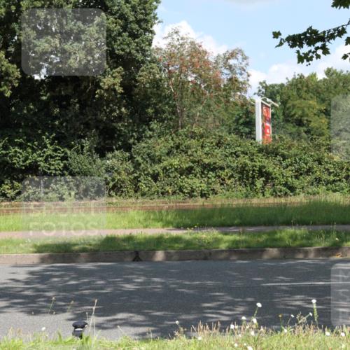 10.08.2025 - GEWOBA Citytriathlon Bremen Yannick Fuchs http://msf.ph/oto/8568979 10.08.2025 13:05:55 Radfahren 573, 616, 630, 767, 793, 857, 948, 981 meine-sportfotos.de