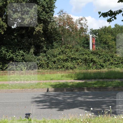 10.08.2025 - GEWOBA Citytriathlon Bremen Yannick Fuchs http://msf.ph/oto/8569455 10.08.2025 13:32:57 Radfahren  meine-sportfotos.de