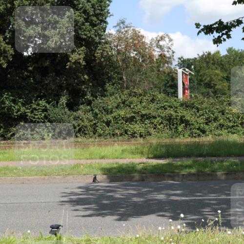 10.08.2025 - GEWOBA Citytriathlon Bremen Yannick Fuchs http://msf.ph/oto/8569460 10.08.2025 13:32:59 Radfahren  meine-sportfotos.de