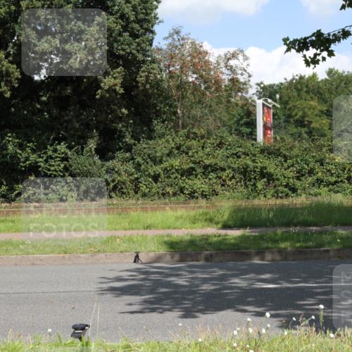 10.08.2025 - GEWOBA Citytriathlon Bremen Yannick Fuchs http://msf.ph/oto/8569486 10.08.2025 13:35:17 Radfahren 602 meine-sportfotos.de