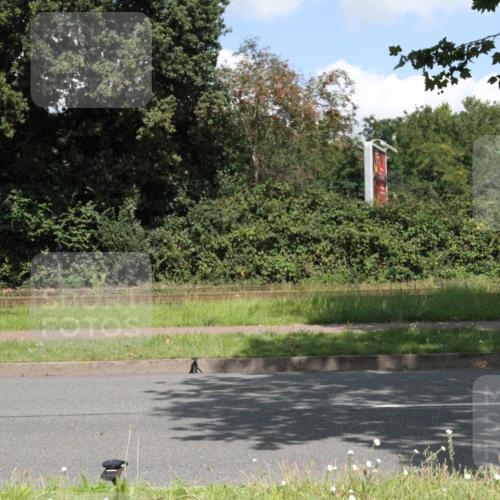 10.08.2025 - GEWOBA Citytriathlon Bremen Yannick Fuchs http://msf.ph/oto/8569502 10.08.2025 13:37:17 Radfahren  meine-sportfotos.de