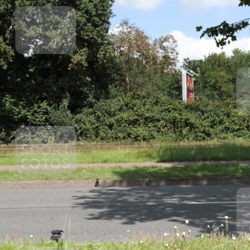 10.08.2025 - GEWOBA Citytriathlon Bremen Yannick Fuchs http://msf.ph/oto/8569520 10.08.2025 13:37:34 Radfahren  meine-sportfotos.de