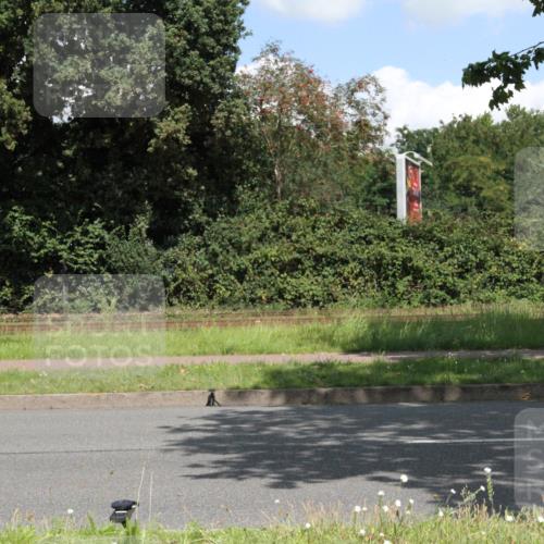 10.08.2025 - GEWOBA Citytriathlon Bremen Yannick Fuchs http://msf.ph/oto/8569528 10.08.2025 13:37:41 Radfahren  meine-sportfotos.de