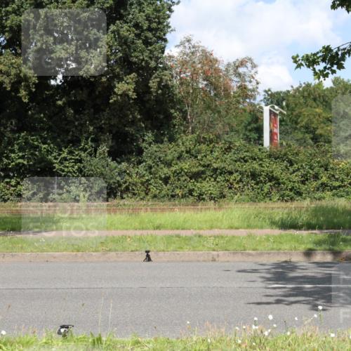 10.08.2025 - GEWOBA Citytriathlon Bremen Yannick Fuchs http://msf.ph/oto/8569850 10.08.2025 14:15:09 Radfahren 15, 45, 55, 76, 82, 88, 108, 133, 146, 151, 226 meine-sportfotos.de