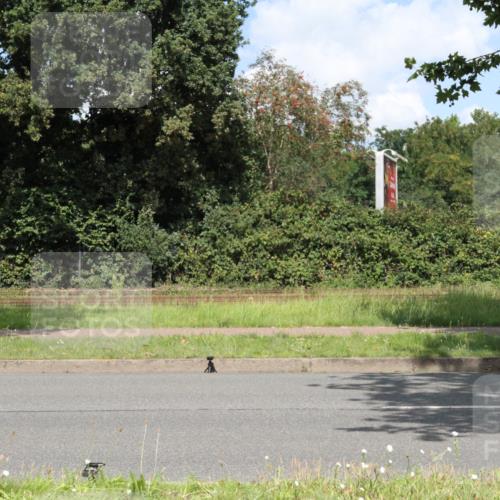10.08.2025 - GEWOBA Citytriathlon Bremen Yannick Fuchs http://msf.ph/oto/8569891 10.08.2025 14:15:26 Radfahren 45, 54, 55, 76, 88, 97, 118, 123 meine-sportfotos.de