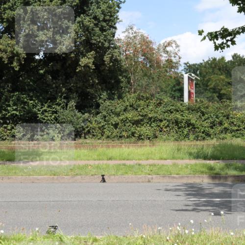 10.08.2025 - GEWOBA Citytriathlon Bremen Yannick Fuchs http://msf.ph/oto/8570129 10.08.2025 14:18:10 Radfahren 214, 240, 263, 295 meine-sportfotos.de