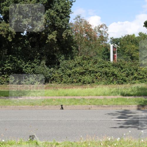 10.08.2025 - GEWOBA Citytriathlon Bremen Yannick Fuchs http://msf.ph/oto/8570199 10.08.2025 14:19:19 Radfahren 124, 126, 162, 201, 227, 239, 254 meine-sportfotos.de