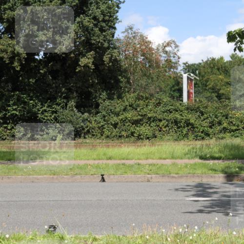 10.08.2025 - GEWOBA Citytriathlon Bremen Yannick Fuchs http://msf.ph/oto/8570201 10.08.2025 14:19:22 Radfahren 124, 126, 162, 201, 227, 239, 254 meine-sportfotos.de