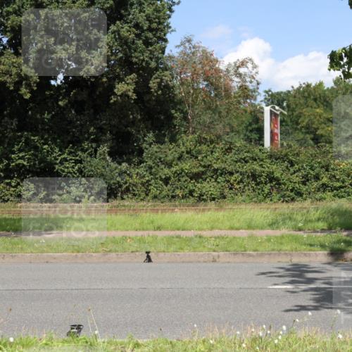 10.08.2025 - GEWOBA Citytriathlon Bremen Yannick Fuchs http://msf.ph/oto/8570273 10.08.2025 14:20:08 Radfahren 18, 36, 52, 130, 195, 197, 238, 256, 257 meine-sportfotos.de