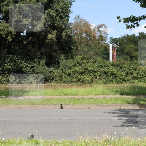 10.08.2025 - GEWOBA Citytriathlon Bremen Yannick Fuchs http://msf.ph/oto/8570533 10.08.2025 14:23:52 Radfahren 128, 158, 221, 234 meine-sportfotos.de