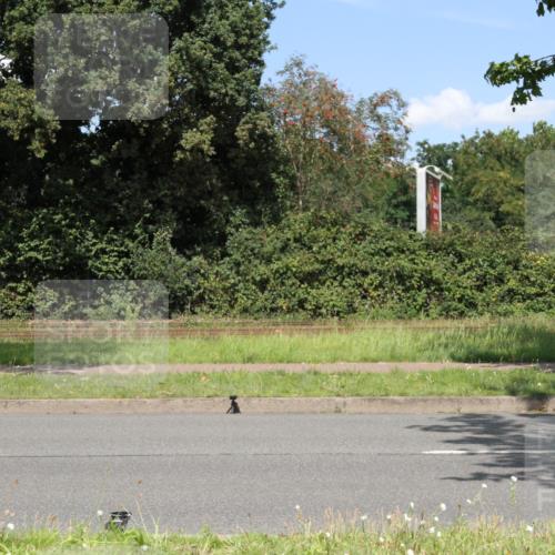 10.08.2025 - GEWOBA Citytriathlon Bremen Yannick Fuchs http://msf.ph/oto/8570651 10.08.2025 14:25:58 Radfahren 167, 181, 220, 231, 273, 325, 331, 446, 499 meine-sportfotos.de