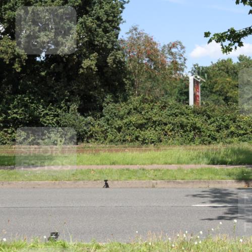 10.08.2025 - GEWOBA Citytriathlon Bremen Yannick Fuchs http://msf.ph/oto/8570716 10.08.2025 14:26:23 Radfahren 231, 278, 360, 404, 453, 532 meine-sportfotos.de