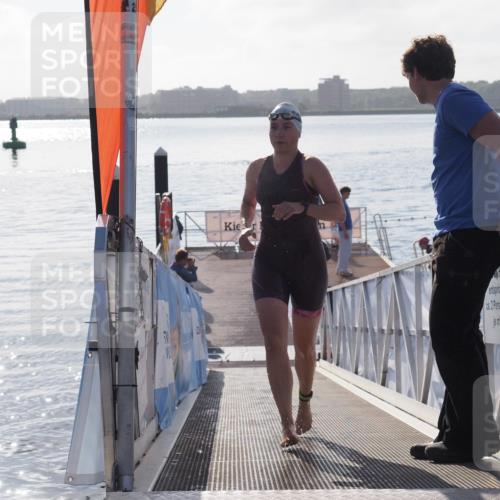17.08.2025 - KN Förde Triathlon 2025 MichiJ http://msf.ph/oto/8576746 17.08.2025 09:11:21 Schwimmen 116, 117, 116, 125, 157 meine-sportfotos.de