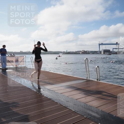 17.08.2025 - KN Förde Triathlon 2025 KatJ http://msf.ph/oto/8576959 17.08.2025 09:15:40 Schwimmen 131, 131, 141 meine-sportfotos.de