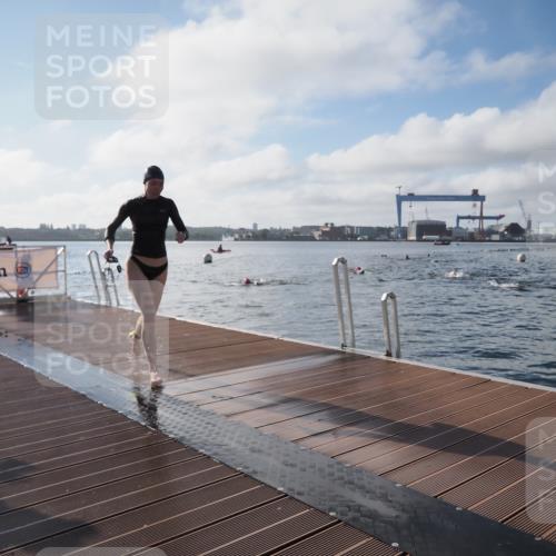 17.08.2025 - KN Förde Triathlon 2025 KatJ http://msf.ph/oto/8576963 17.08.2025 09:15:41 Schwimmen 131, 131, 141 meine-sportfotos.de