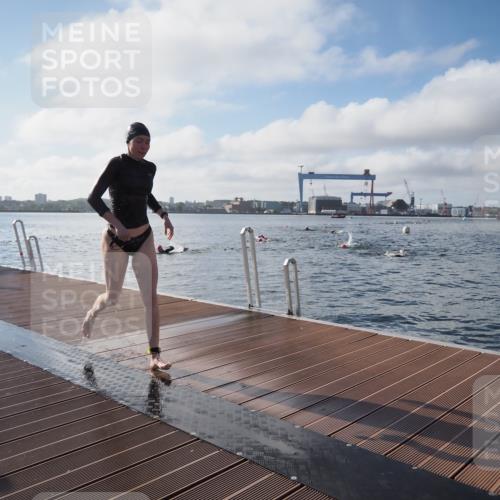 17.08.2025 - KN Förde Triathlon 2025 KatJ http://msf.ph/oto/8576968 17.08.2025 09:15:41 Schwimmen 131, 131, 141 meine-sportfotos.de