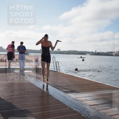 17.08.2025 - KN Förde Triathlon 2025 KatJ http://msf.ph/oto/8577452 17.08.2025 09:17:05 Schwimmen 158, 169, 204, 158, 204 meine-sportfotos.de