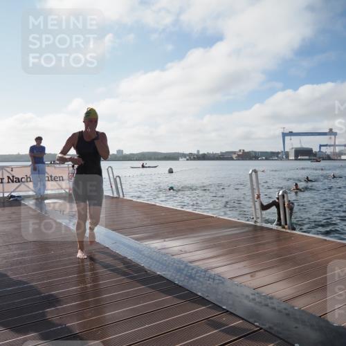 17.08.2025 - KN Förde Triathlon 2025 KatJ http://msf.ph/oto/8577956 17.08.2025 09:18:05 Schwimmen 175, 189, 254, 175, 182, 189, 254 meine-sportfotos.de