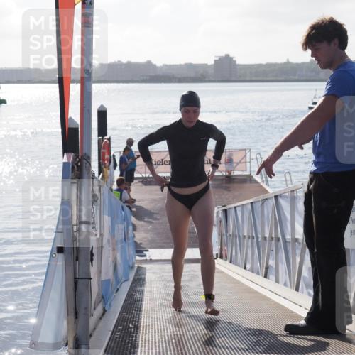 17.08.2025 - KN Förde Triathlon 2025 MichiJ http://msf.ph/oto/8578380 17.08.2025 09:15:46 Schwimmen 131, 141, 131 meine-sportfotos.de
