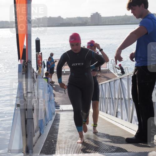 17.08.2025 - KN Förde Triathlon 2025 MichiJ http://msf.ph/oto/8578595 17.08.2025 09:16:09 Schwimmen 137, 162, 168, 137, 156, 162, 164 meine-sportfotos.de
