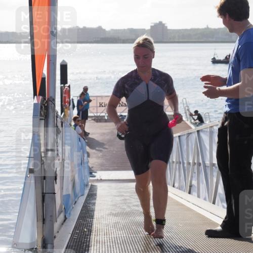 17.08.2025 - KN Förde Triathlon 2025 MichiJ http://msf.ph/oto/8578775 17.08.2025 09:16:21 Schwimmen 156, 164, 160, 164, 166 meine-sportfotos.de