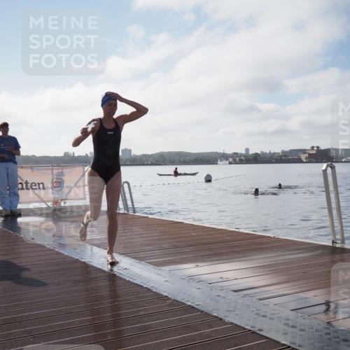 17.08.2025 - KN Förde Triathlon 2025 KatJ http://msf.ph/oto/8581144 17.08.2025 09:24:36 Schwimmen 118, 243, 118, 243 meine-sportfotos.de