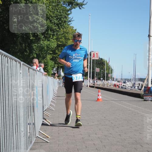 17.08.2025 - KN Förde Triathlon 2025 KatJ http://msf.ph/oto/8581409 17.08.2025 12:21:05 Laufen 355, 377 meine-sportfotos.de