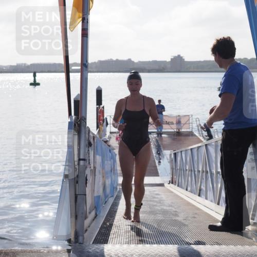 17.08.2025 - KN Förde Triathlon 2025 MichiJ http://msf.ph/oto/8584716 17.08.2025 09:22:52 Schwimmen 246, 249, 234, 249 meine-sportfotos.de