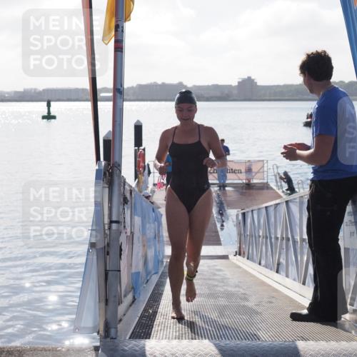 17.08.2025 - KN Förde Triathlon 2025 MichiJ http://msf.ph/oto/8584720 17.08.2025 09:22:52 Schwimmen 246, 249, 234, 249 meine-sportfotos.de