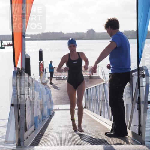 17.08.2025 - KN Förde Triathlon 2025 MichiJ http://msf.ph/oto/8585432 17.08.2025 09:24:41 Schwimmen 118, 243, 118 meine-sportfotos.de
