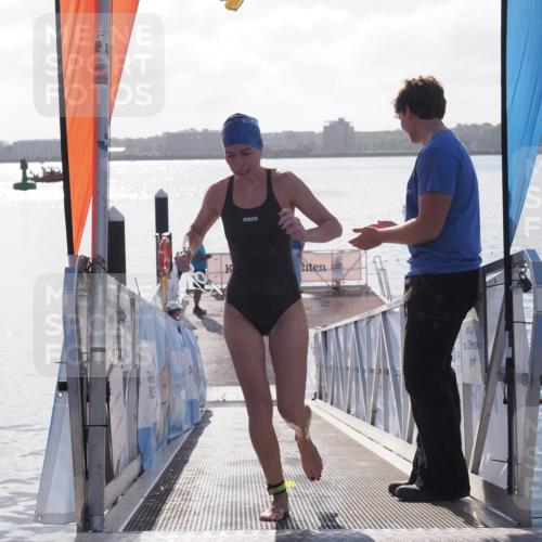 17.08.2025 - KN Förde Triathlon 2025 MichiJ http://msf.ph/oto/8585448 17.08.2025 09:24:42 Schwimmen 118, 243, 118 meine-sportfotos.de