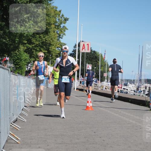 17.08.2025 - KN Förde Triathlon 2025 KatJ http://msf.ph/oto/8586421 17.08.2025 13:27:36 Laufen 401, 420, 456 meine-sportfotos.de