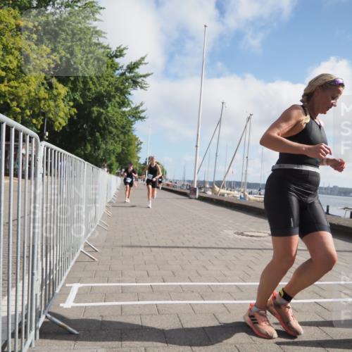 17.08.2025 - KN Förde Triathlon 2025 KatJ http://msf.ph/oto/8588980 17.08.2025 10:15:21 Laufen 142, 183, 215, 242 meine-sportfotos.de