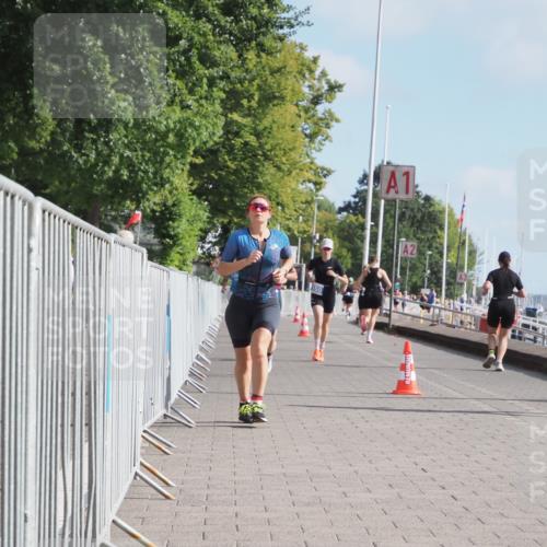 17.08.2025 - KN Förde Triathlon 2025 KatJ http://msf.ph/oto/8589152 17.08.2025 10:15:38 Laufen 127, 150, 210, 234 meine-sportfotos.de
