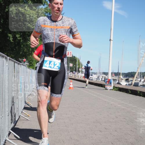 17.08.2025 - KN Förde Triathlon 2025 KatJ http://msf.ph/oto/8592298 17.08.2025 13:38:03 Laufen 397, 417, 436, 442, 529 meine-sportfotos.de