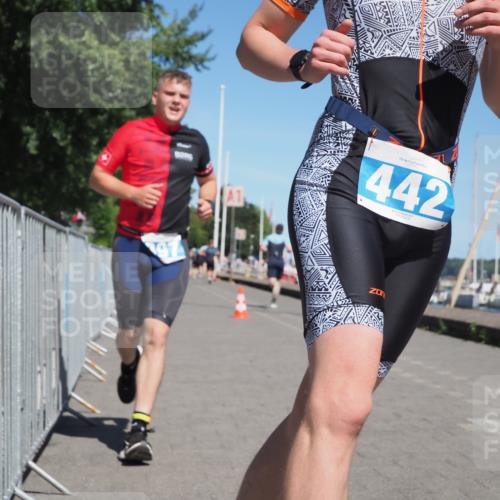 17.08.2025 - KN Förde Triathlon 2025 KatJ http://msf.ph/oto/8592317 17.08.2025 13:38:04 Laufen 397, 417, 436, 442, 529 meine-sportfotos.de