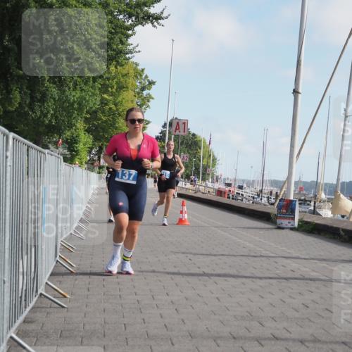 17.08.2025 - KN Förde Triathlon 2025 KatJ http://msf.ph/oto/8595255 17.08.2025 10:24:03 Laufen 137, 215, 246 meine-sportfotos.de