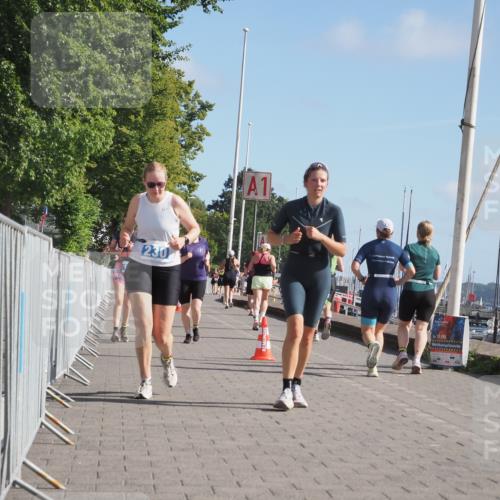 17.08.2025 - KN Förde Triathlon 2025 KatJ http://msf.ph/oto/8605920 17.08.2025 10:30:31 Laufen 170, 188, 230, 240 meine-sportfotos.de