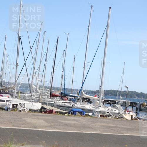 17.08.2025 - KN Förde Triathlon 2025 Yannick Fuchs http://msf.ph/oto/8624152 17.08.2025 11:25:30 Radfahren 261, 285, 288, 295, 296, 307, 377, 617, 629, 630, 632, 633, 266, 330, 377 meine-sportfotos.de