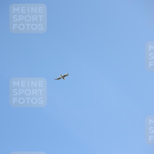 17.08.2025 - KN Förde Triathlon 2025 Yannick Fuchs http://msf.ph/oto/8626467 17.08.2025 13:03:55 Radfahren 401, 409, 411, 412, 460, 461, 467, 401 meine-sportfotos.de