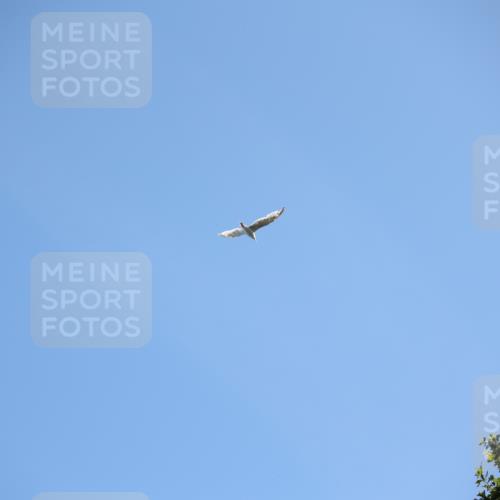 17.08.2025 - KN Förde Triathlon 2025 Yannick Fuchs http://msf.ph/oto/8626468 17.08.2025 13:03:55 Radfahren 401, 409, 411, 412, 460, 461, 467, 401 meine-sportfotos.de