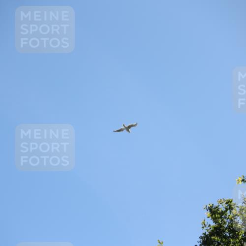 17.08.2025 - KN Förde Triathlon 2025 Yannick Fuchs http://msf.ph/oto/8626469 17.08.2025 13:03:55 Radfahren 401, 409, 411, 412, 460, 461, 467, 401 meine-sportfotos.de