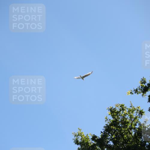 17.08.2025 - KN Förde Triathlon 2025 Yannick Fuchs http://msf.ph/oto/8626470 17.08.2025 13:03:56 Radfahren 409, 411, 412, 460, 461, 467, 523, 401, 467 meine-sportfotos.de