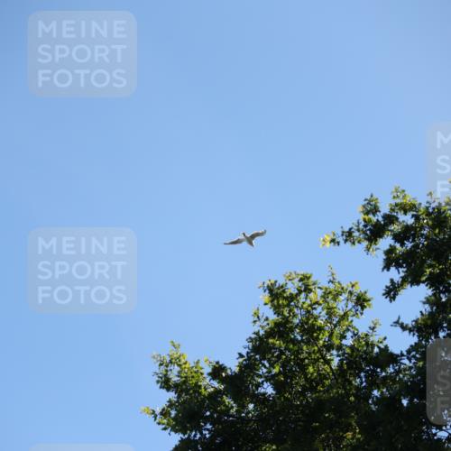 17.08.2025 - KN Förde Triathlon 2025 Yannick Fuchs http://msf.ph/oto/8626471 17.08.2025 13:03:56 Radfahren 409, 411, 412, 460, 461, 467, 523, 401, 467 meine-sportfotos.de