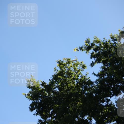 17.08.2025 - KN Förde Triathlon 2025 Yannick Fuchs http://msf.ph/oto/8626472 17.08.2025 13:03:56 Radfahren 409, 411, 412, 460, 461, 467, 523, 401, 467 meine-sportfotos.de