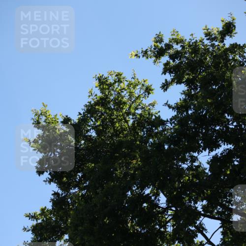 17.08.2025 - KN Förde Triathlon 2025 Yannick Fuchs http://msf.ph/oto/8626473 17.08.2025 13:03:56 Radfahren 409, 411, 412, 460, 461, 467, 523, 401, 467 meine-sportfotos.de